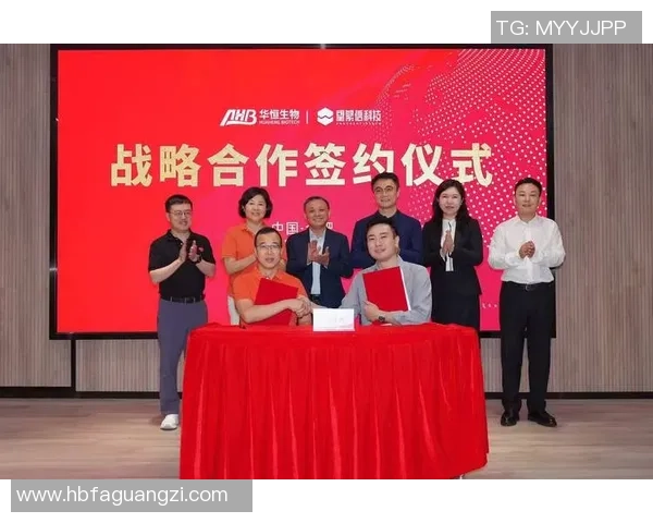 2026年世界杯：全球足球盛宴开启，历史新篇章等你见证