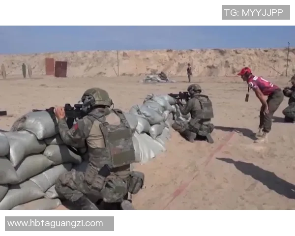 Viper射手核心战术解析团队配合与输出思路全面解读