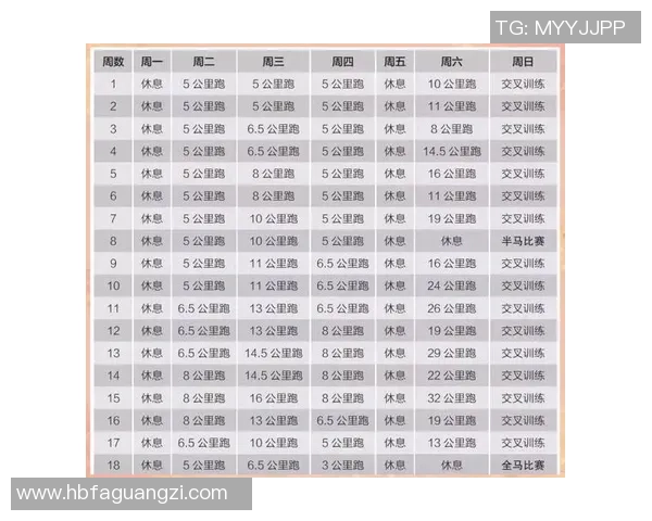 打造健康生活方式的运动计划 从入门到专业的全方位训练指南 打造健康生活方式的运动计划 从入门到专业的全方位训练指南