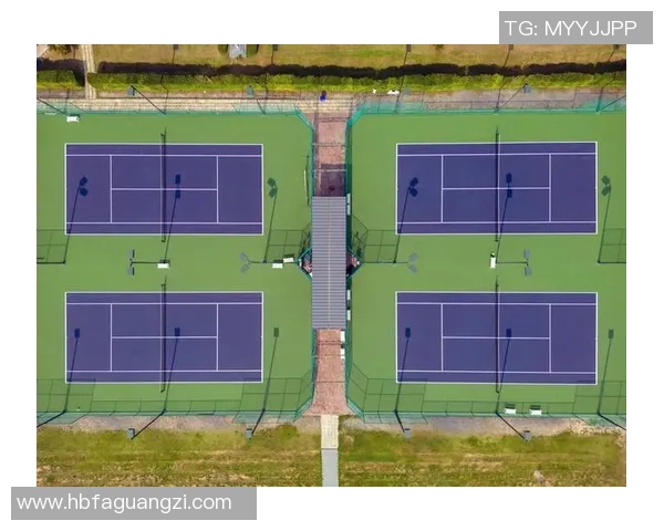 网球运动的魅力与发展:从草地到硬地的历史演变与未来趋势 网球运动的魅力与发展:从草地到硬地的历史演变与未来趋势