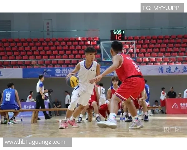 聚焦篮球运动员成长轨迹与赛场风云表现及未来发展全景解析趋势洞